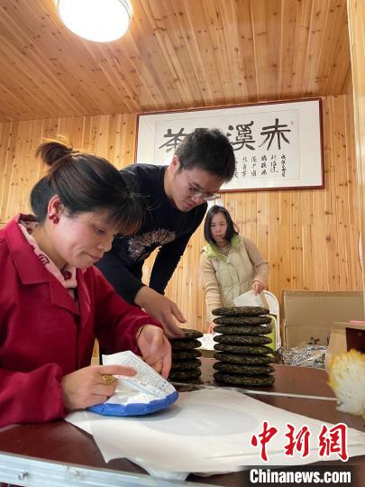 資料圖：杜贏(左二)在整理白茶餅?！×执阂?攝